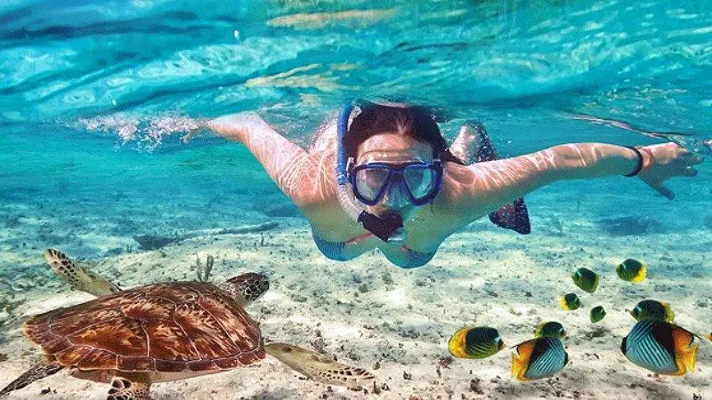 Green sea turtle and snorkeler at Watamu Marine National Park Kenya